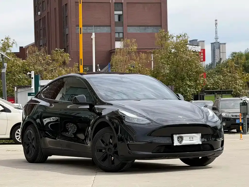 Tesla Model Y — фото 9