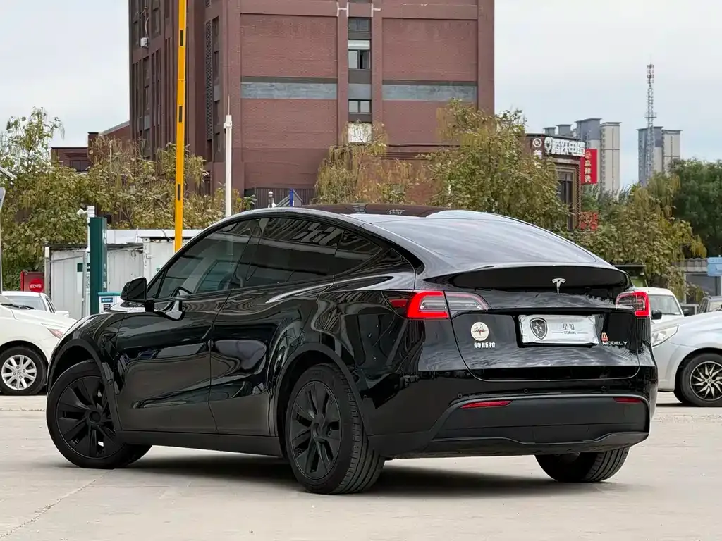Tesla Model Y — фото 4