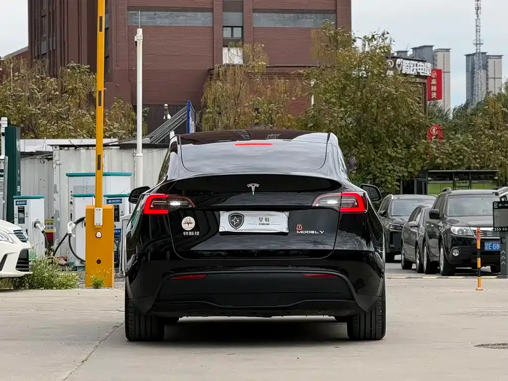 Tesla Model Y — фото 3