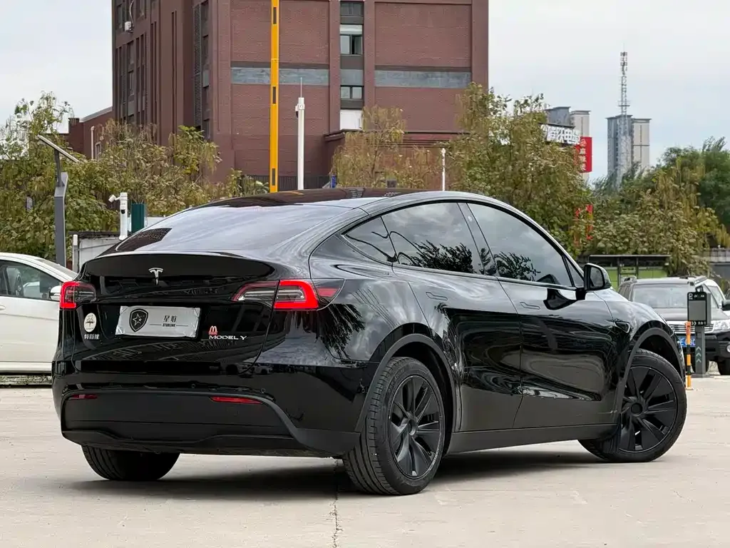 Tesla Model Y — фото 8