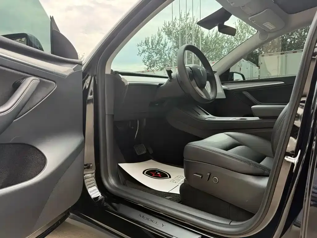 Tesla Model Y — фото 10