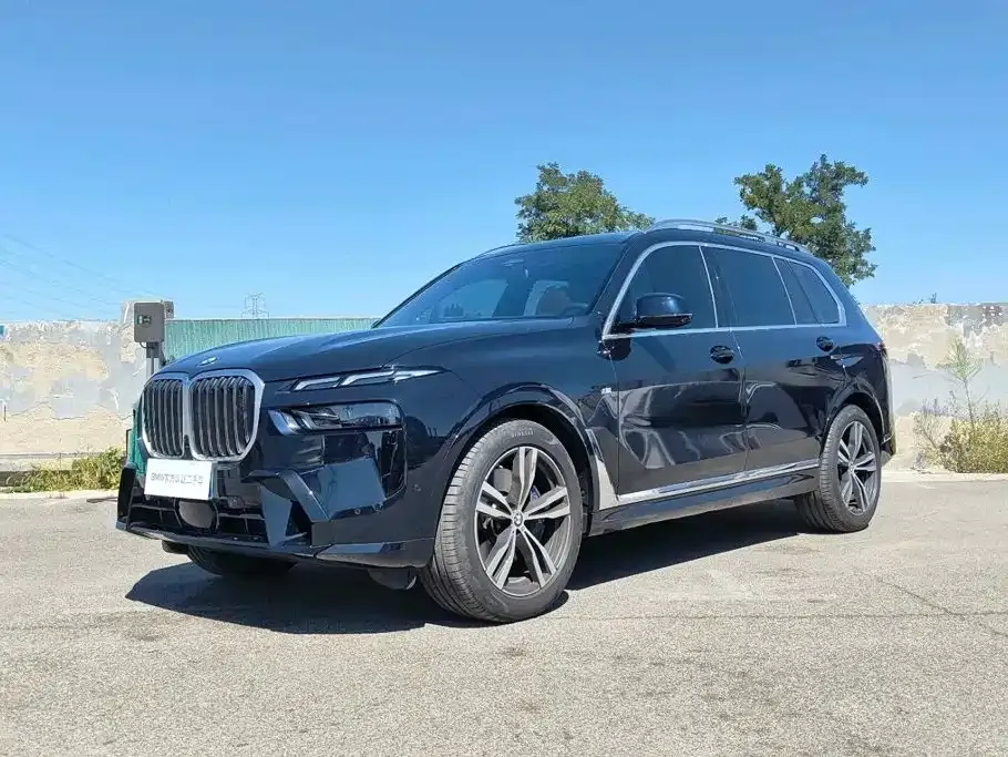 BMW X7 — фото 1