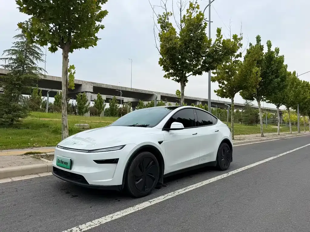 Tesla Model Y — фото 1