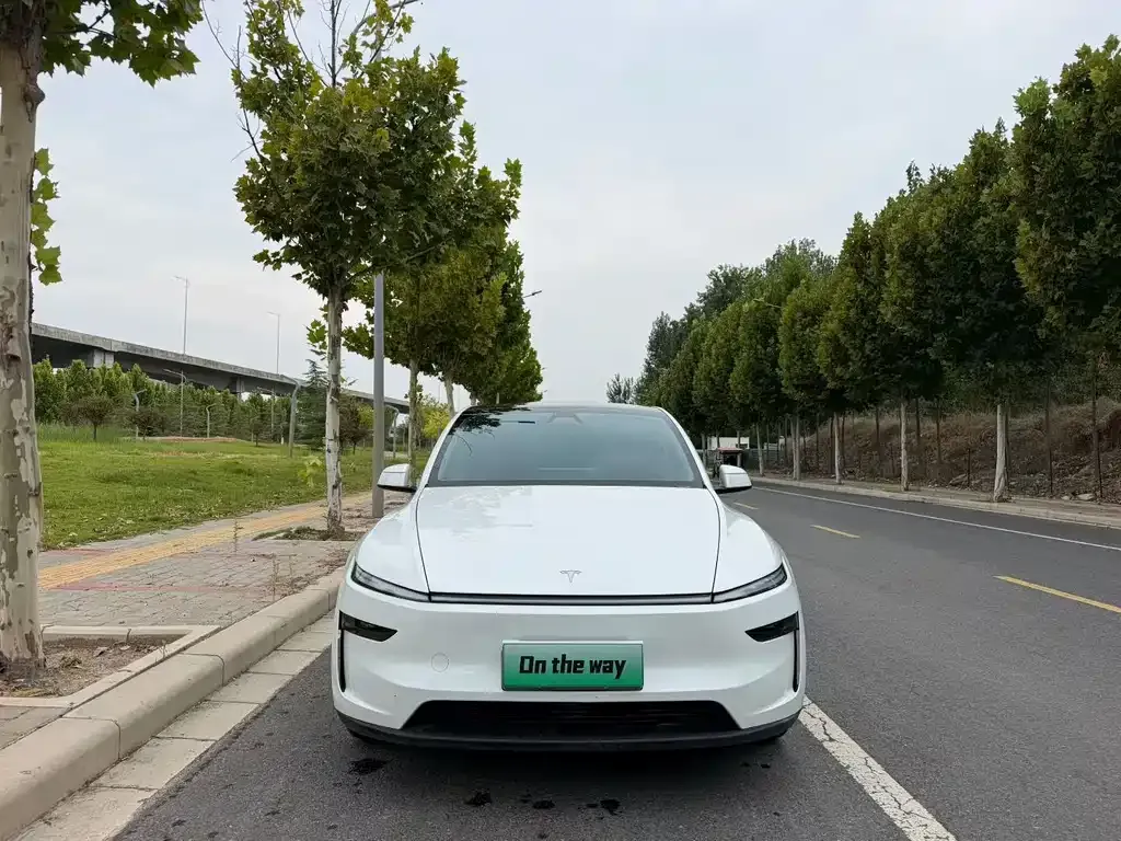 Tesla Model Y — фото 8