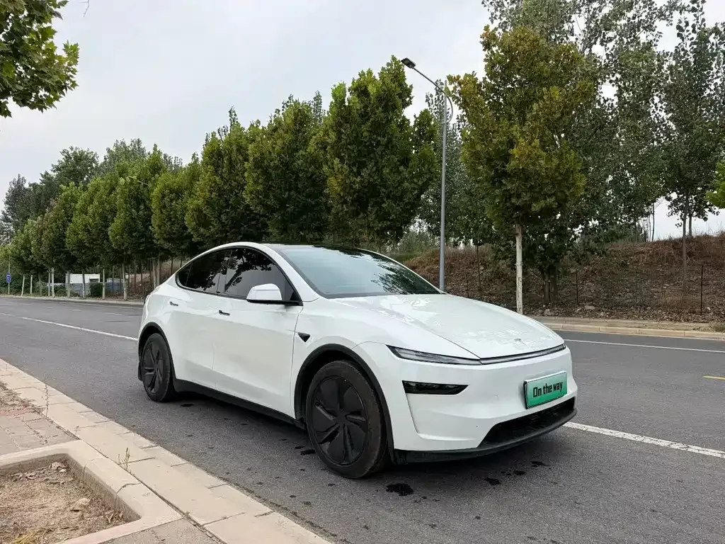 Tesla Model Y — фото 9