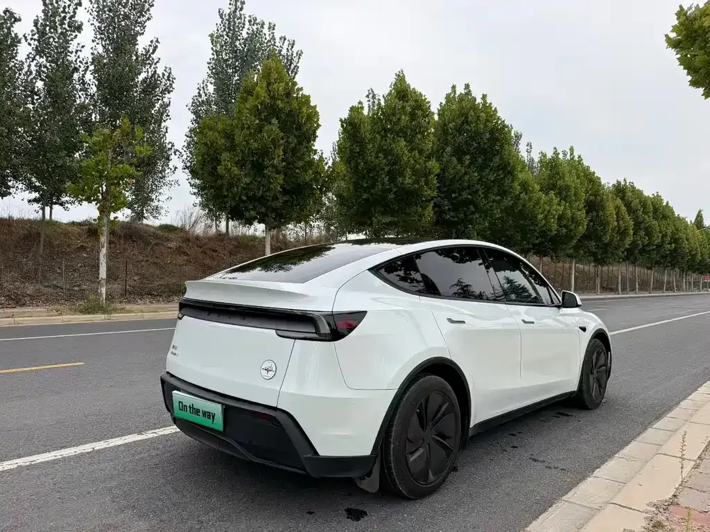 Tesla Model Y — фото 3