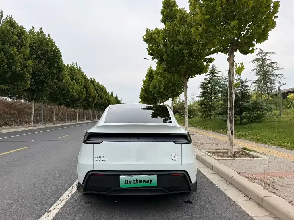 Tesla Model Y — фото 2