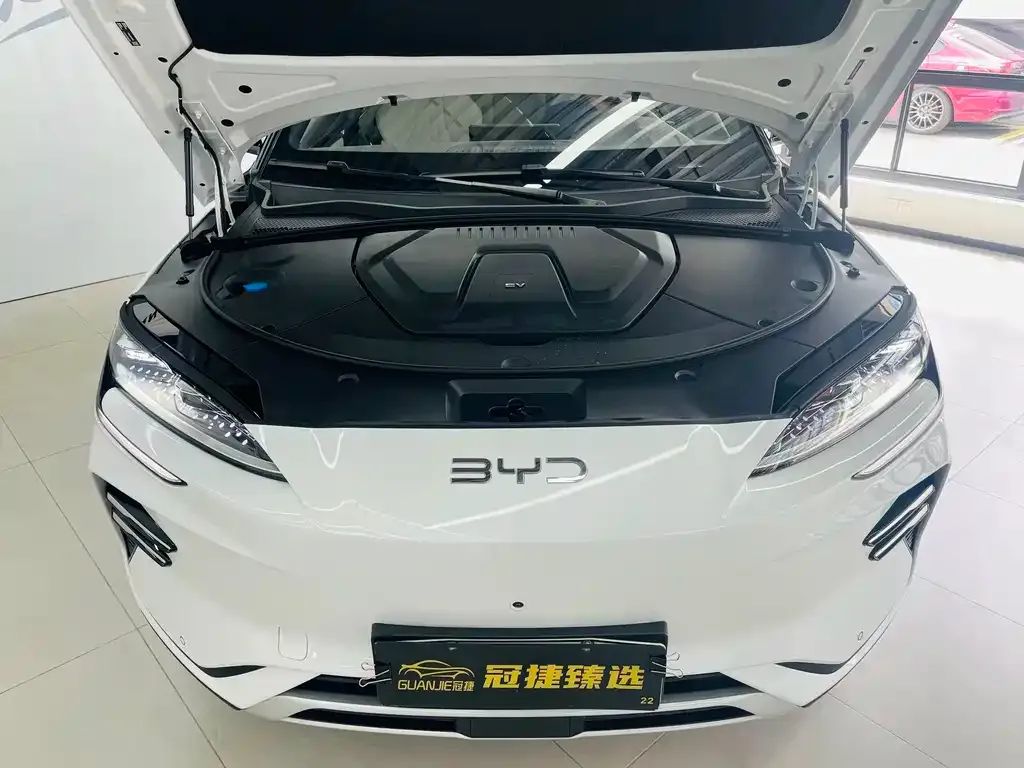 BYD PLUS New Energy — фото 9