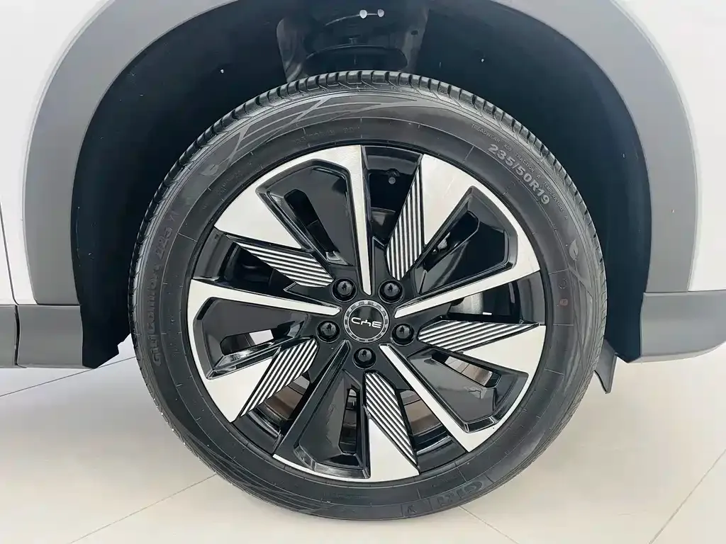 BYD PLUS New Energy — фото 10