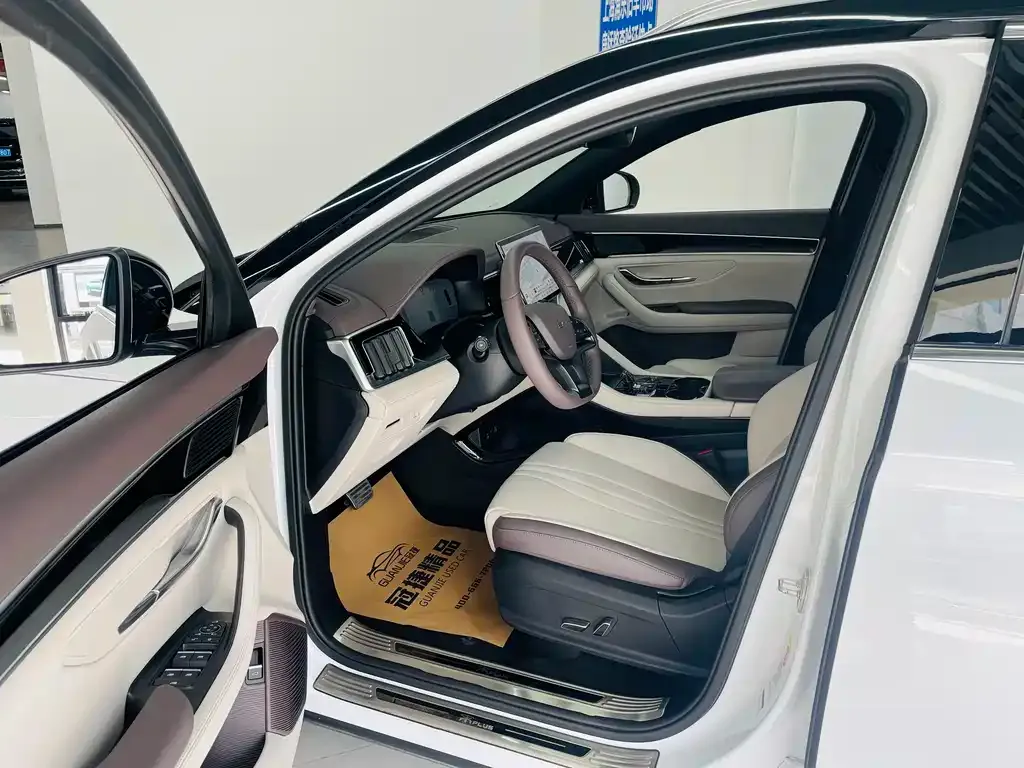 BYD PLUS New Energy — фото 8