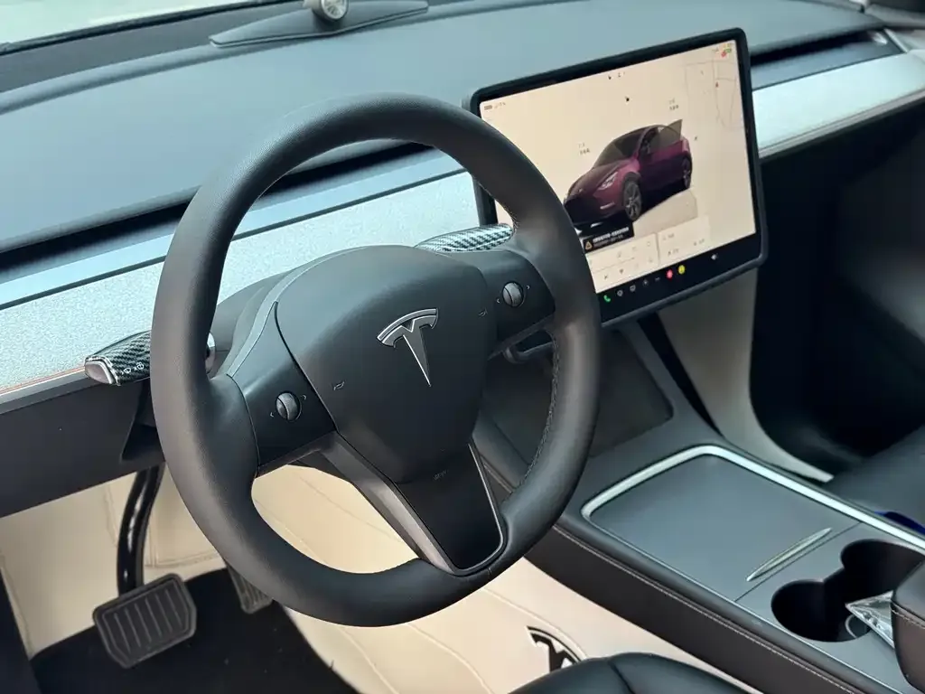 Tesla Model Y — фото 10