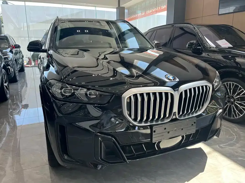 BMW X5 — фото 4