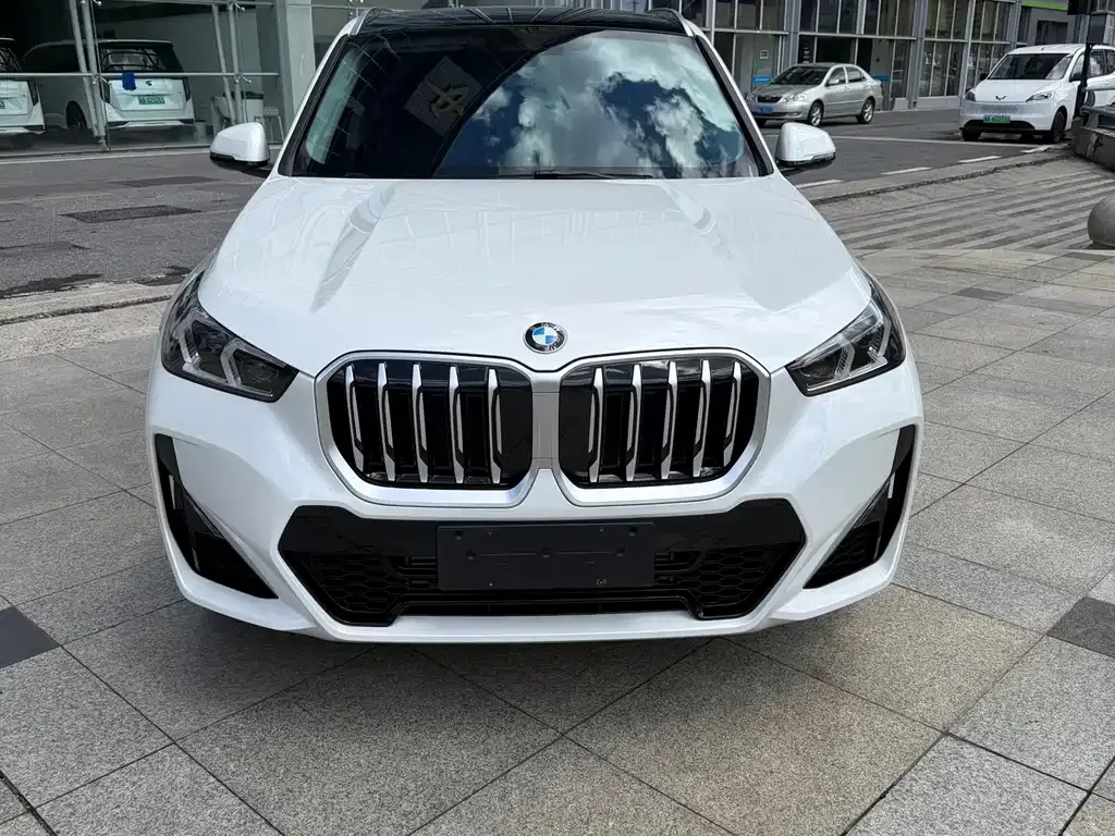 BMW X1 — фото 1