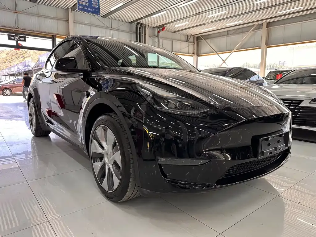 Tesla Model Y — фото 9