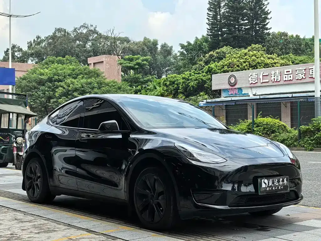 Tesla Model Y — фото 10