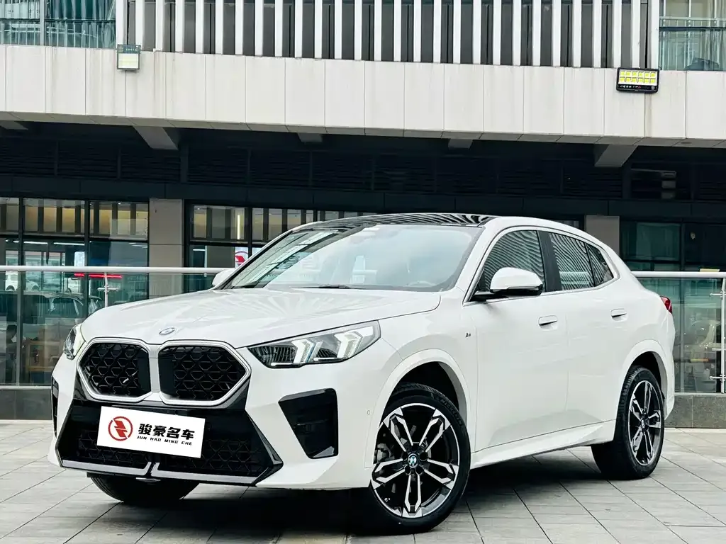 BMW X2 (Import) — фото 1