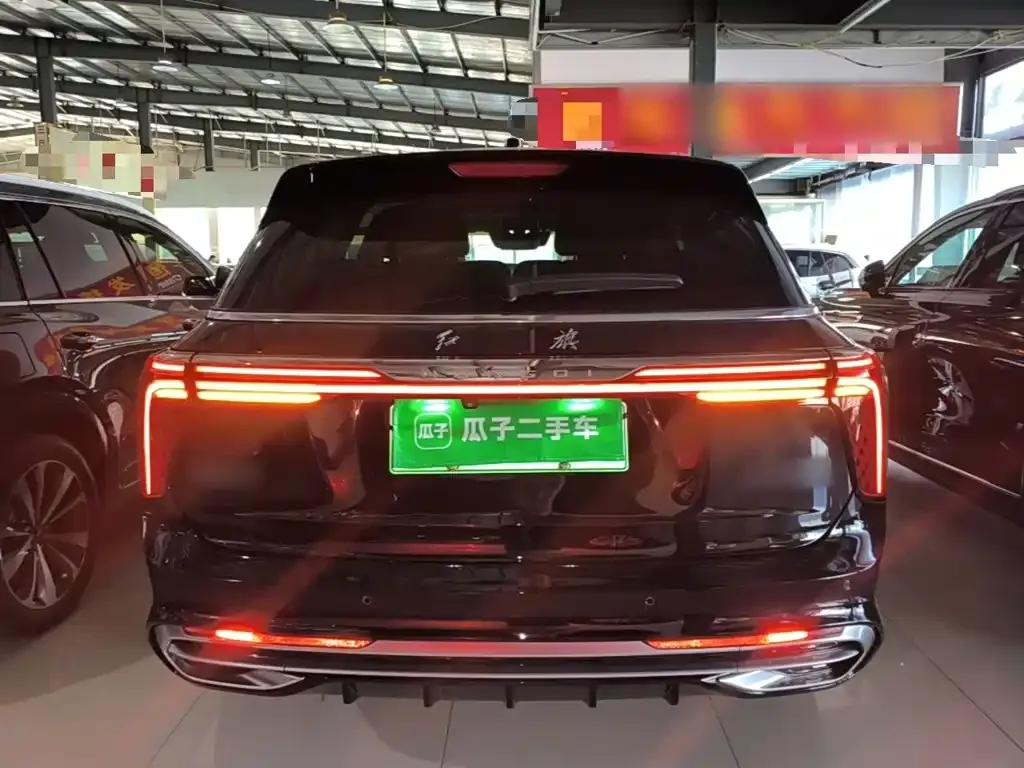 Hongqi E-HS9 — фото 3