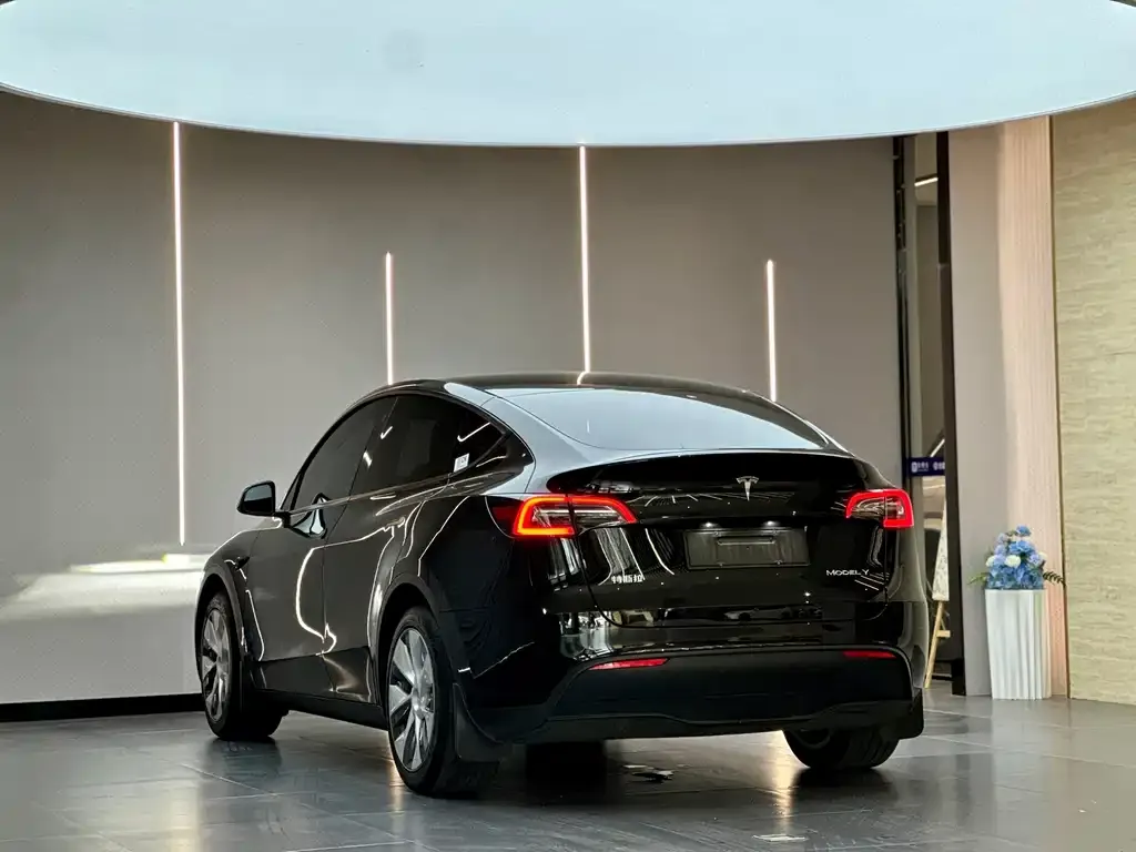 Tesla Model Y — фото 7
