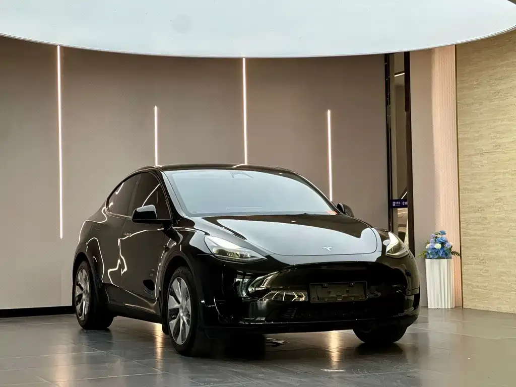 Tesla Model Y — фото 6