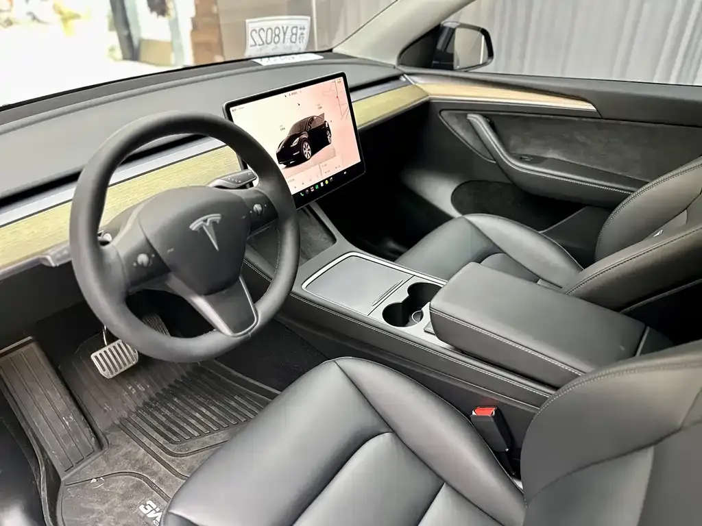 Tesla Model Y — фото 10