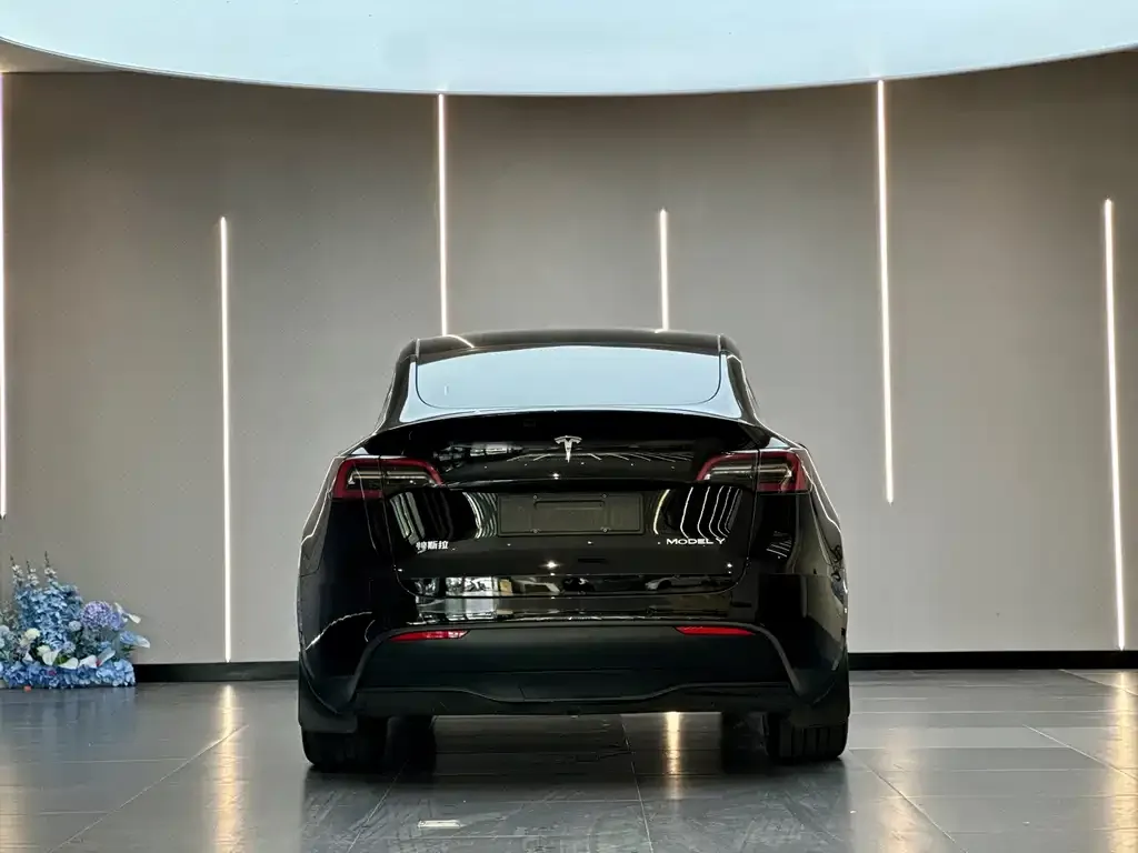 Tesla Model Y — фото 4