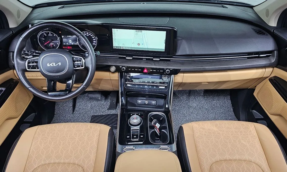 Kia Carnival — фото 10