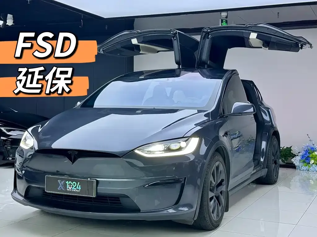 Tesla Model X — фото 1