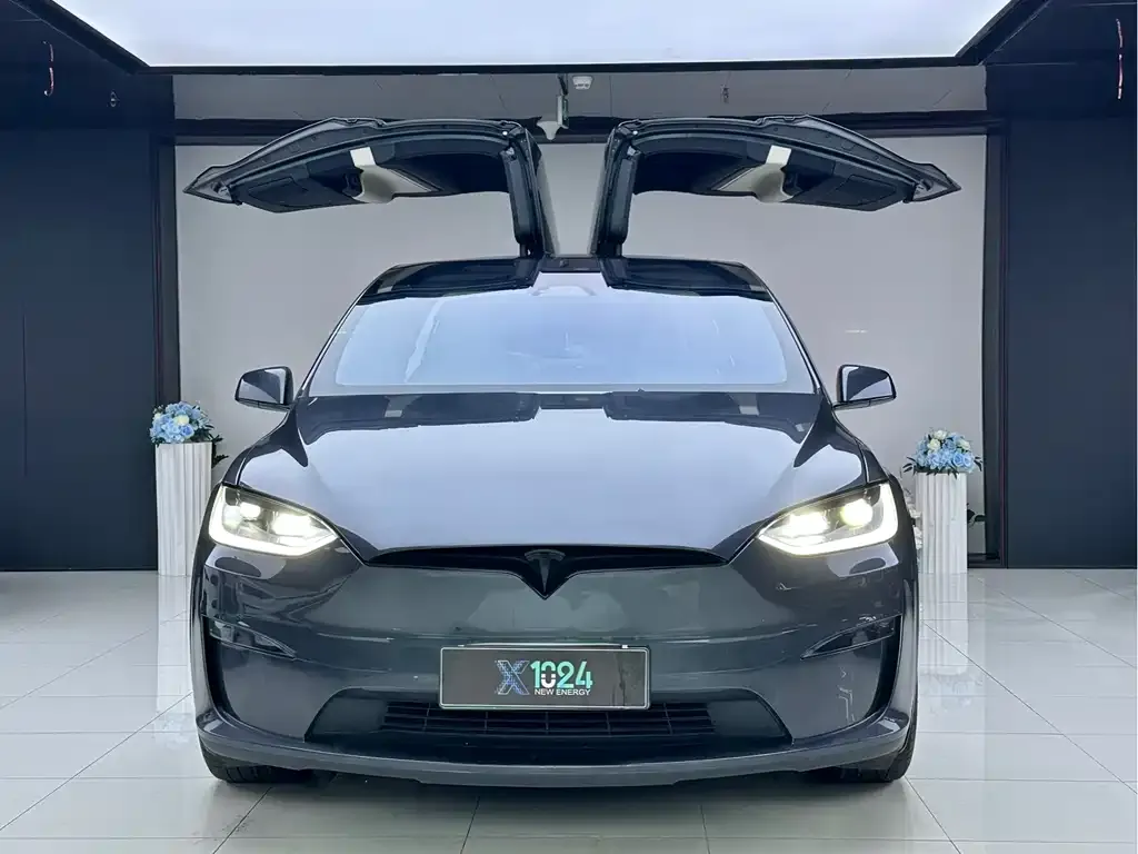Tesla Model X — фото 3