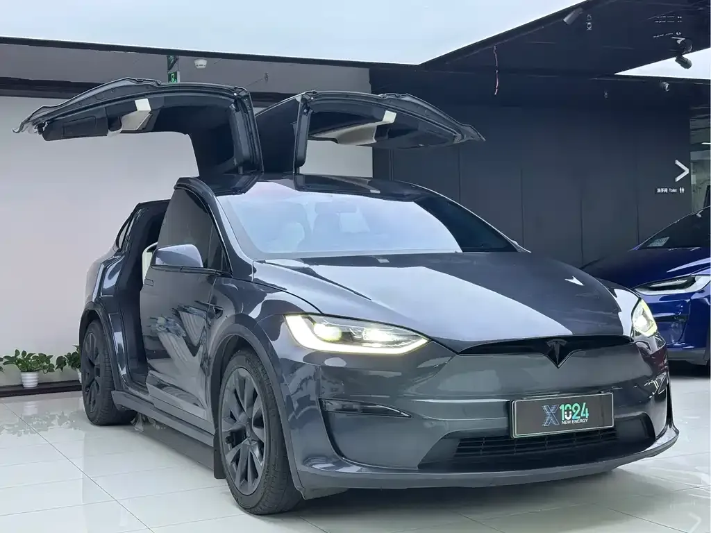 Tesla Model X — фото 9