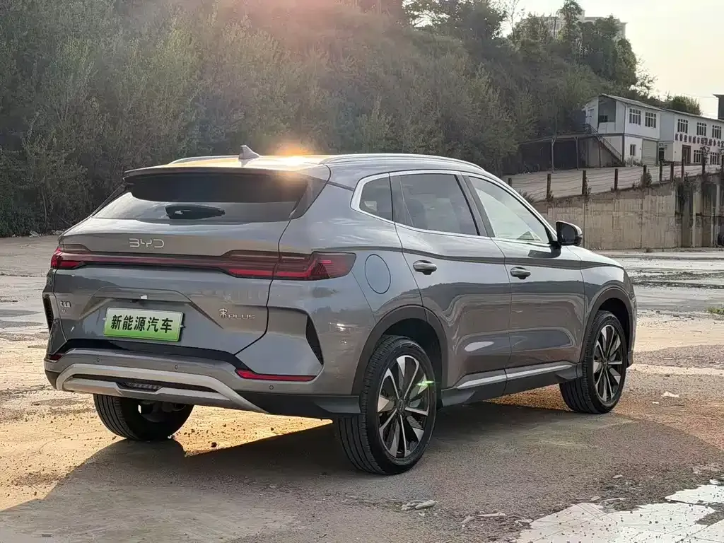 BYD PLUS New Energy — фото 8
