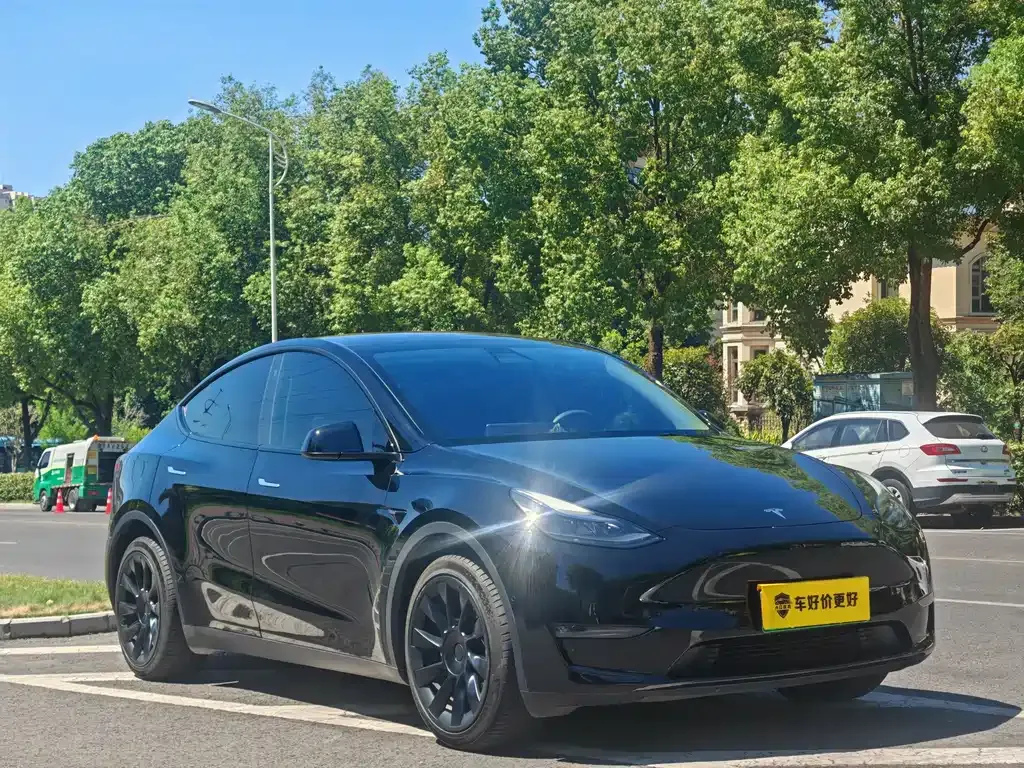Tesla Model Y — фото 8