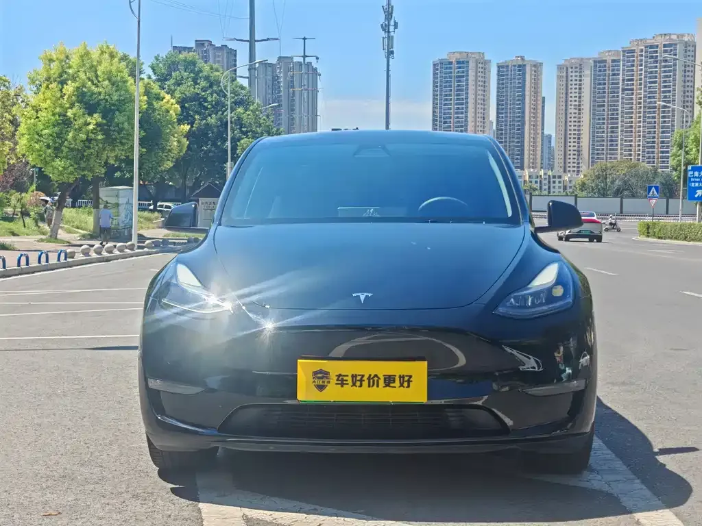 Tesla Model Y — фото 5