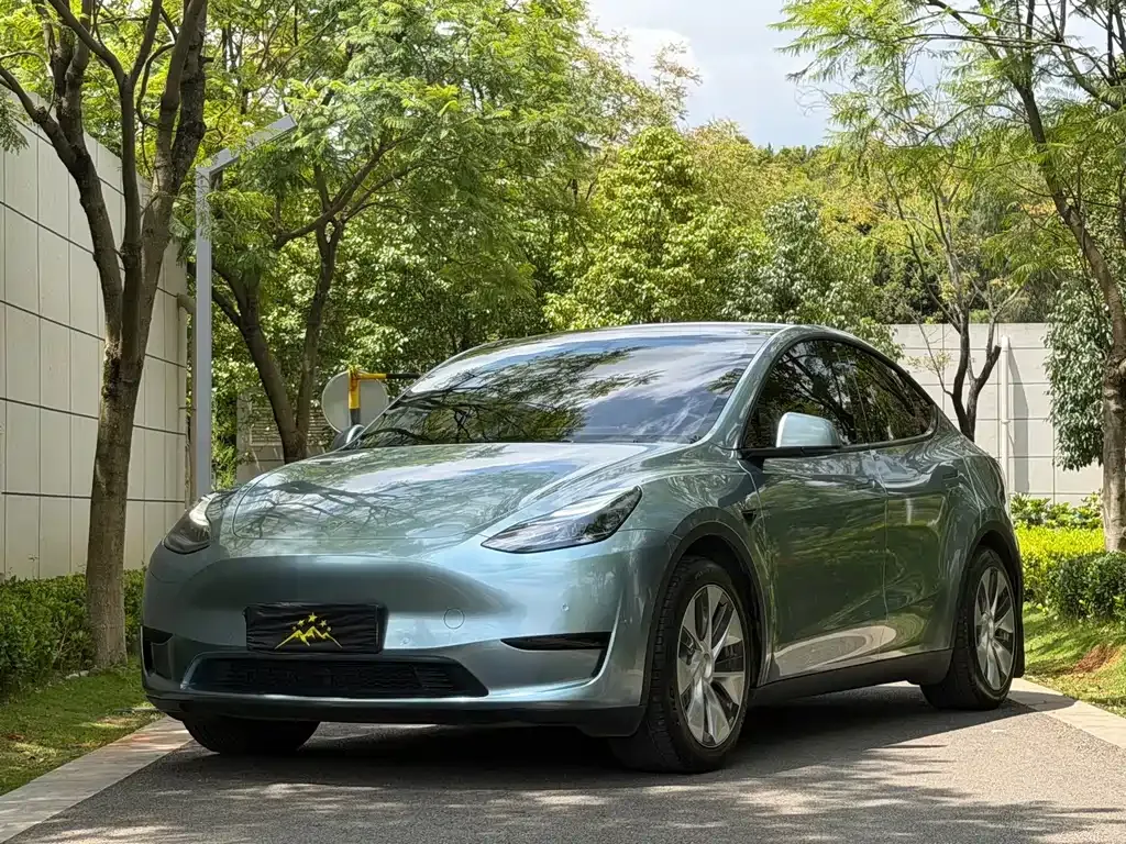 Tesla Model Y — фото 1