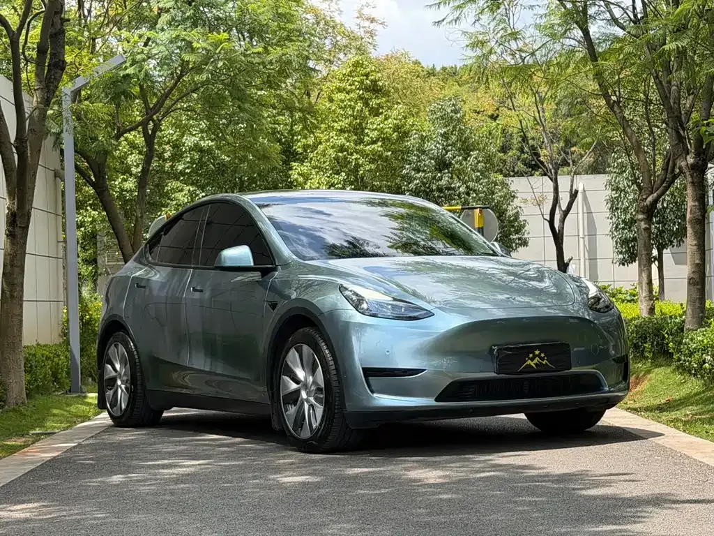 Tesla Model Y — фото 7