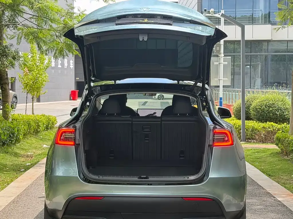 Tesla Model Y — фото 9