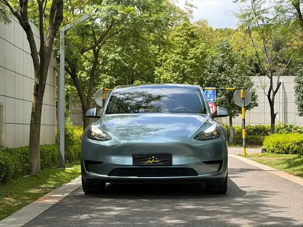 Tesla Model Y — фото 2