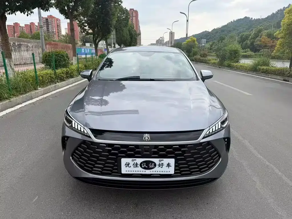 BYD Qin PLUS — фото 2