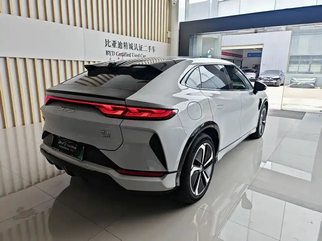BYD L EV — фото 10
