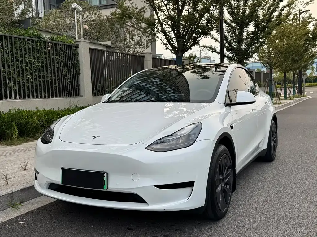 Tesla Model Y — фото 1