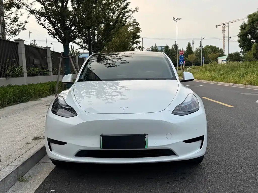 Tesla Model Y — фото 9