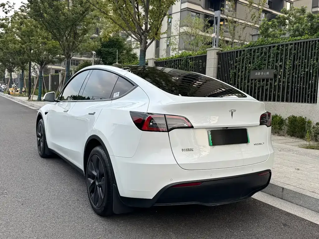 Tesla Model Y — фото 10