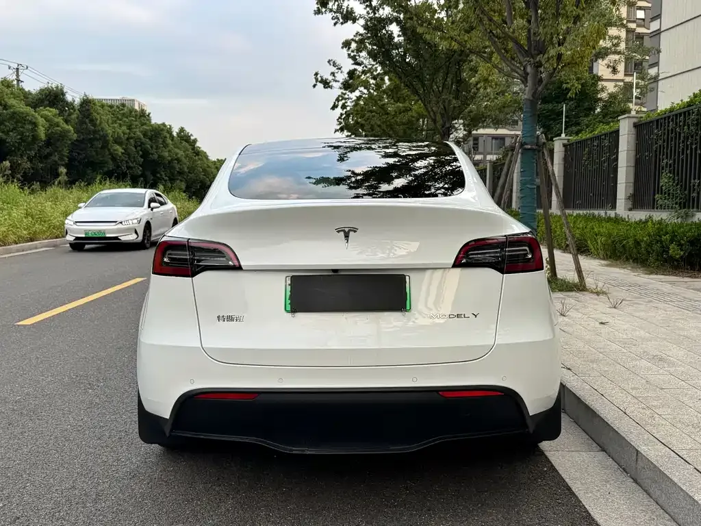 Tesla Model Y — фото 2