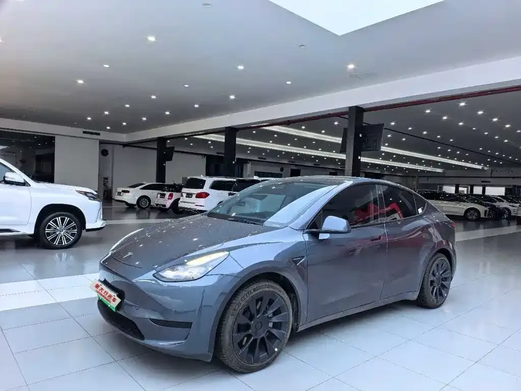 Tesla Model Y — фото 1
