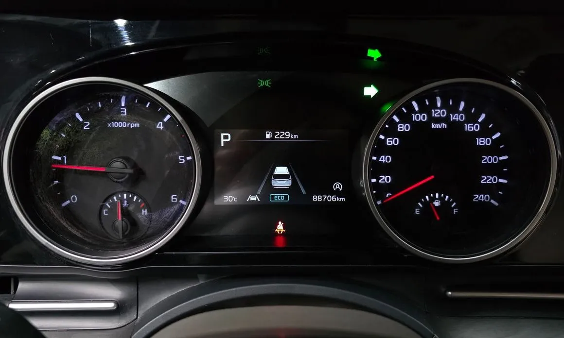 Kia Carnival — фото 10