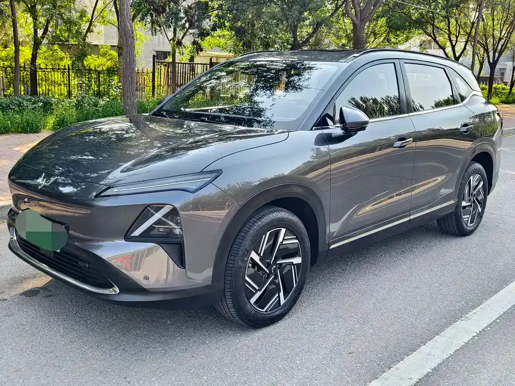 Wuling Xingguang S — фото 9