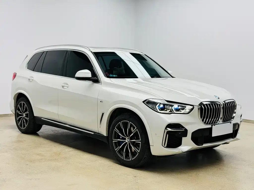 BMW X5 — фото 9