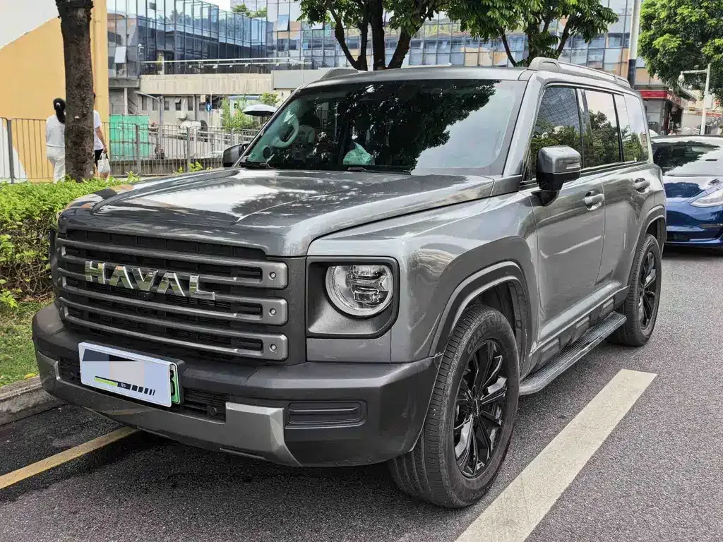 Haval Menglong New Energy — фото 1