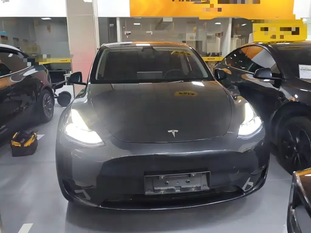 Tesla Model Y — фото 2