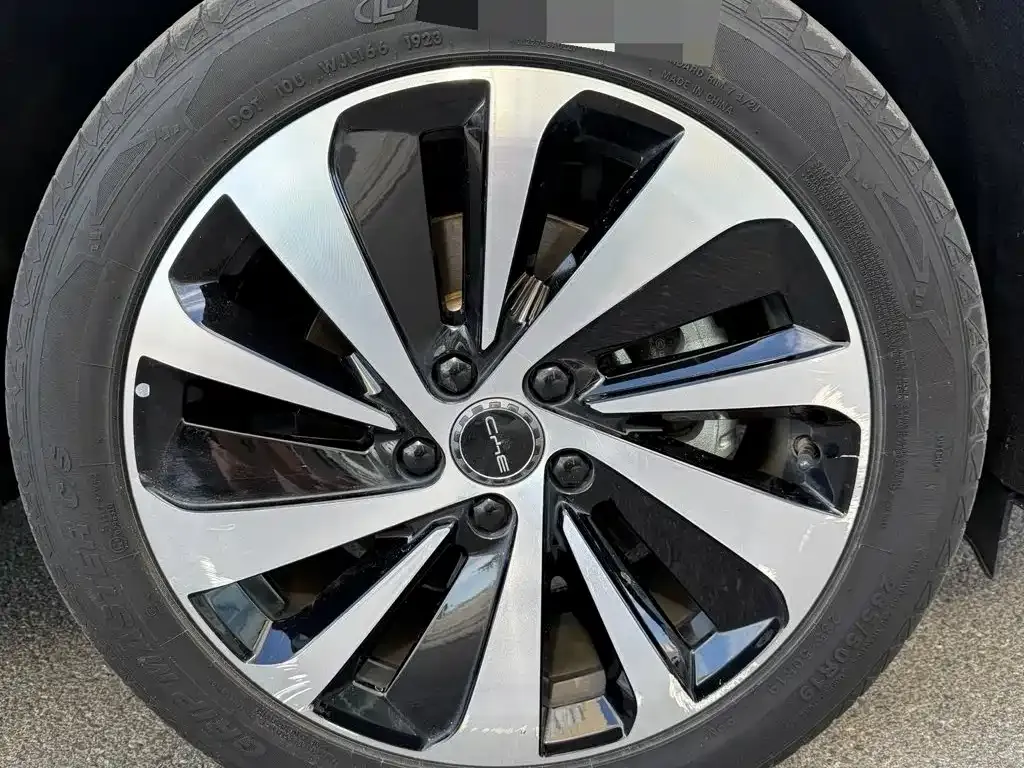 BYD PLUS New Energy — фото 8