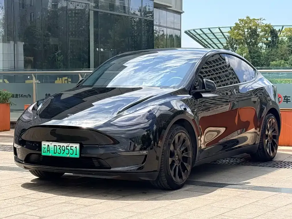 Tesla Model Y — фото 1